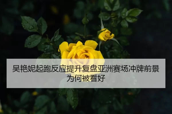 吴艳妮起跑反应提升复盘亚洲赛场冲牌前景为何被看好